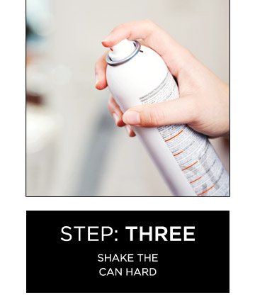 Step 3: Shake It Up, Baby