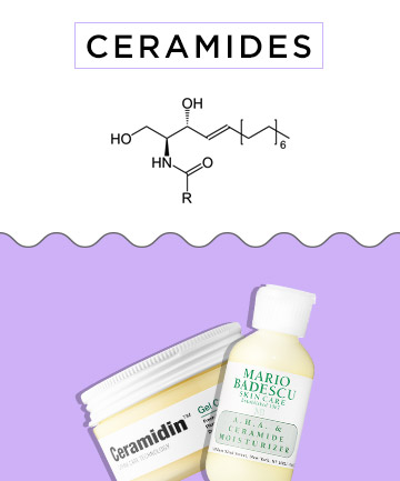 Ceramides