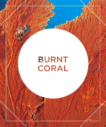 The Summer Shade: Burnt Coral