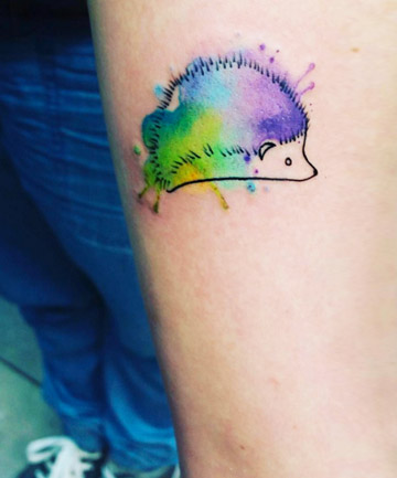 Rainbow Hedgehog