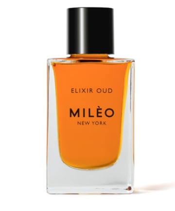 Mileo New York Amber Fort, $120