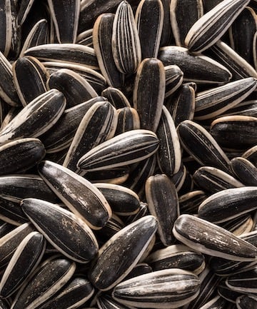 Sunflower Seeds