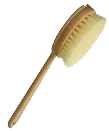 Bernard Jensen Dry Brush, $16.97