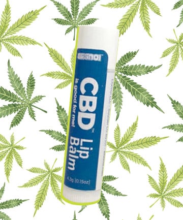 Elixinol CBD Lip Balm, $7.99