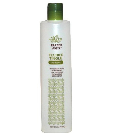 Trader Joe's Tea Tree Tingle Shampoo, $3.99