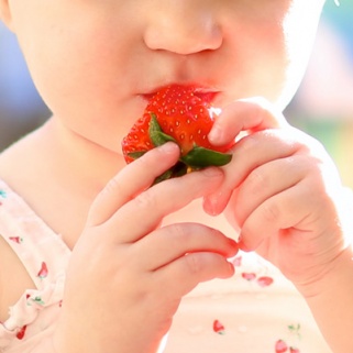 Toddlers: Human Garbage Disposals or Picky Eaters