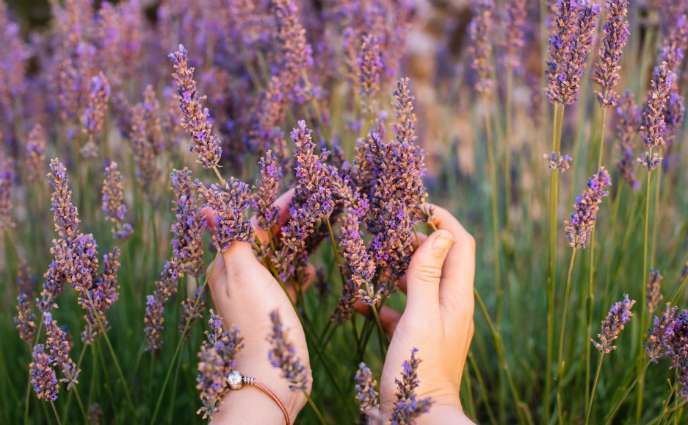 Chill Out With These Lavender-Scented Beauty Products